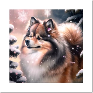 Finnish Lapphund In The Snow Posters and Art